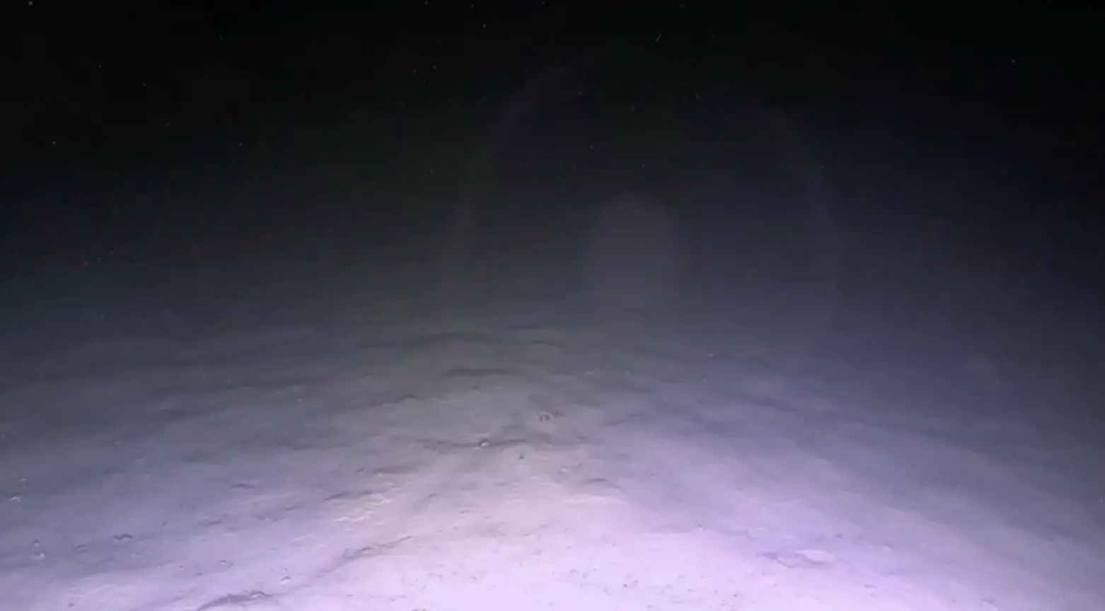 There is too little oxygen for life to survive at the bottom. X/@Discovery