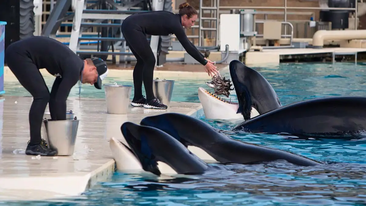 Dünzl\ullstein bild via Getty Images