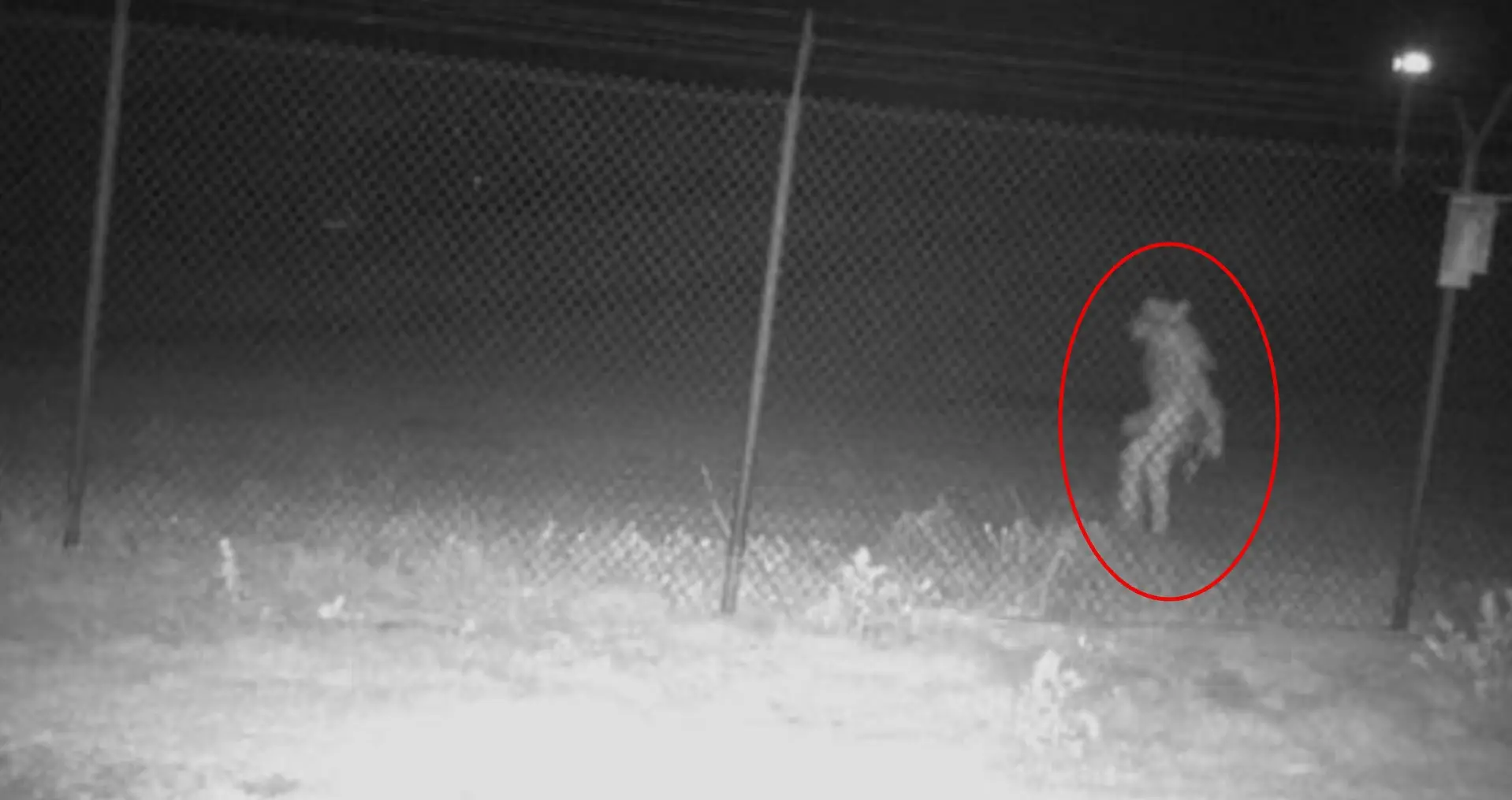 People to this day still don't know what it was. (@CityofAmarillo/X)