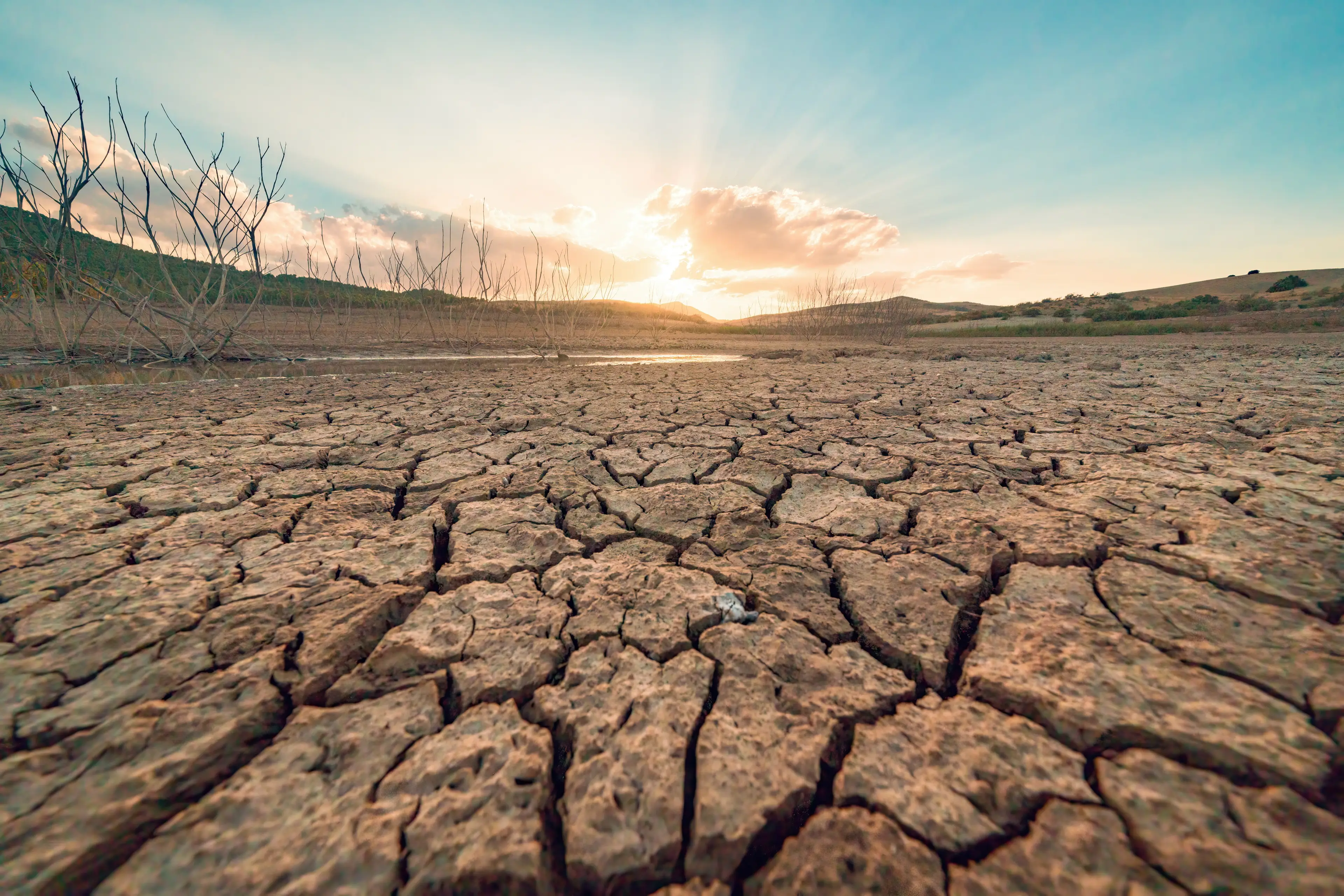 El Niño can have a wide range of weather impacts (Daniel Garrido/Getty)