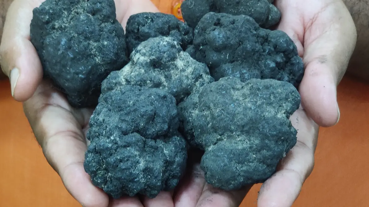 Getty Images/Pallava Bagla