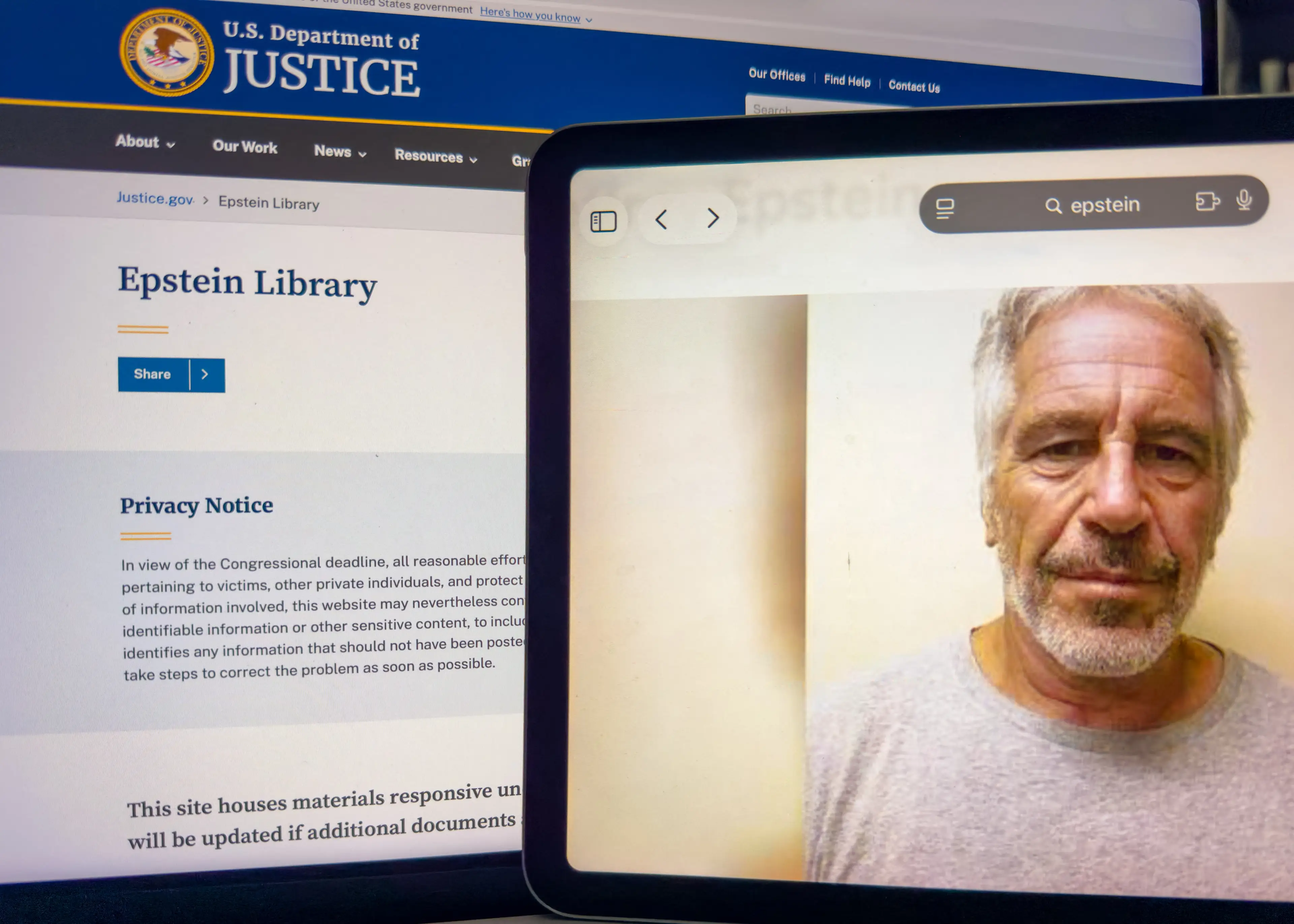 Millions of files relating to Epstein have previously been released (Véronique Tournier/Hans Lucas/AFP via Getty Images)