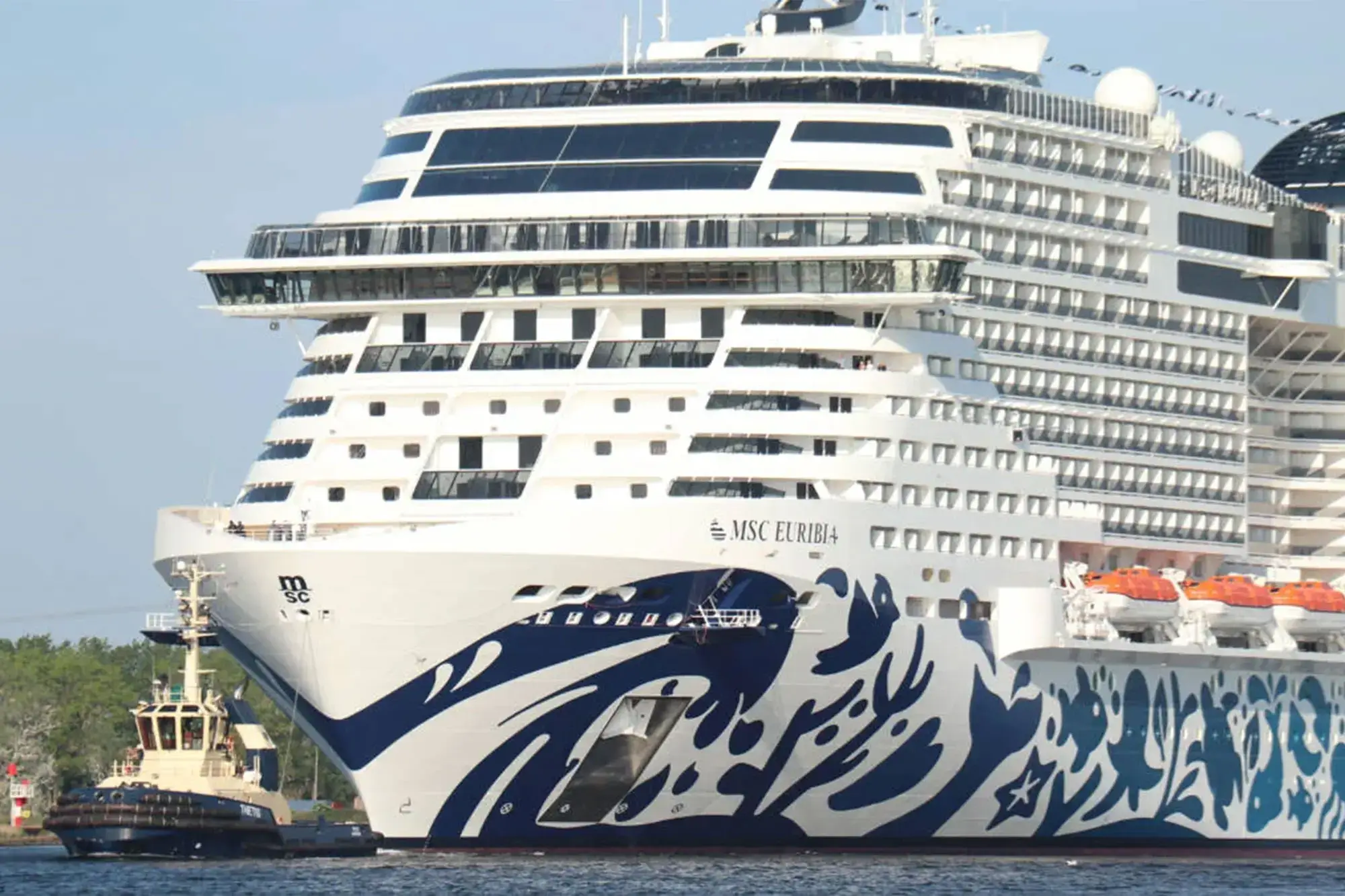 Early investigations into the incident have concluded he went overboard around 2 a.m on Thursday June 6.(Cruise Hive)