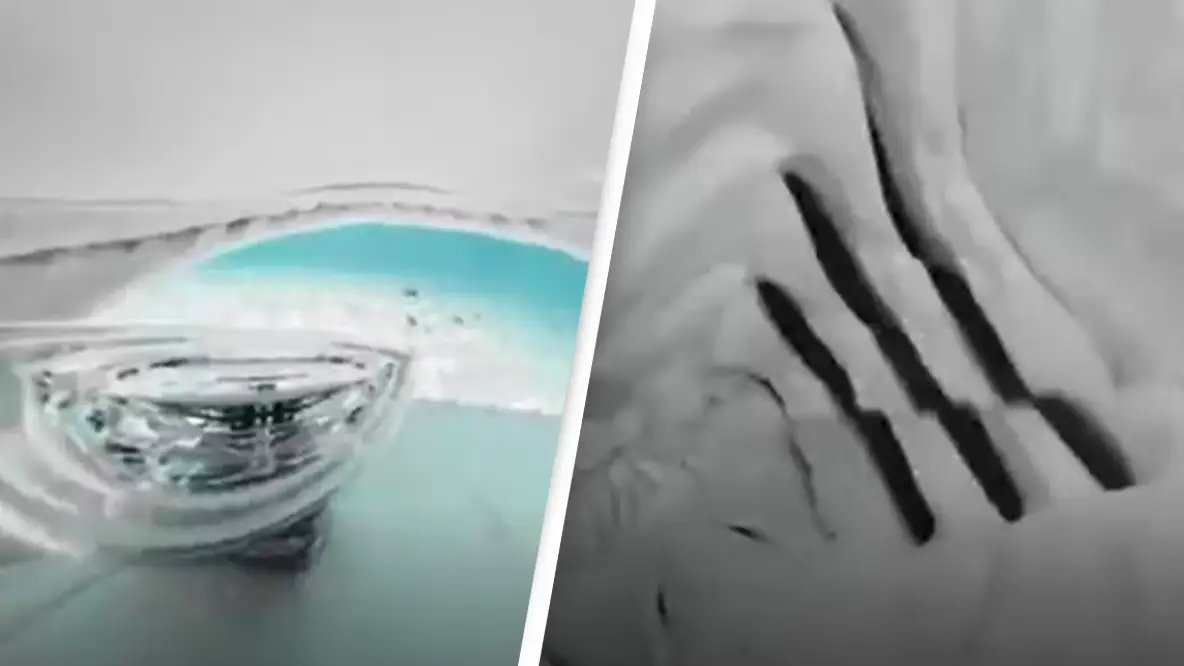 Shark Attack Caught On Camera Reveals Terrifying Point Of View