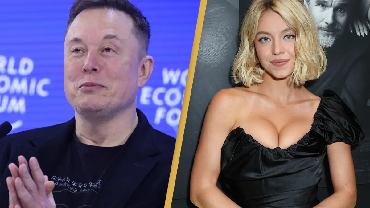 Krisztian Bocsi/Bloomberg via Getty Images/JC Olivera/Variety via Getty Images