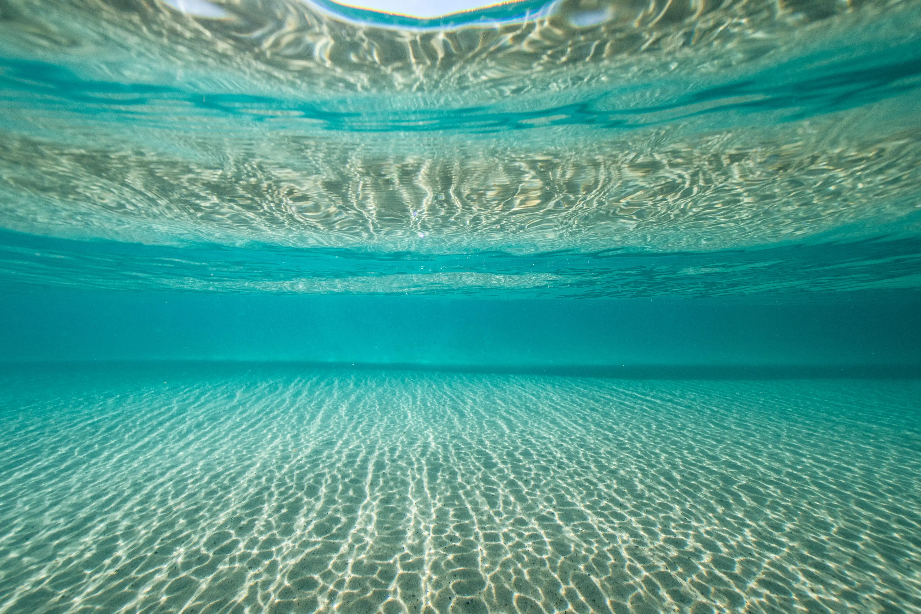 Oceans are expected to lose around 3-4% of their oxygen by the end of this century.