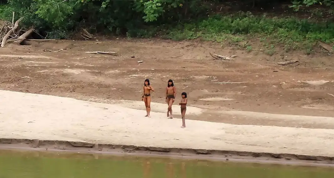 The group were spotted dangerously close to loggers in July. (Survival International)