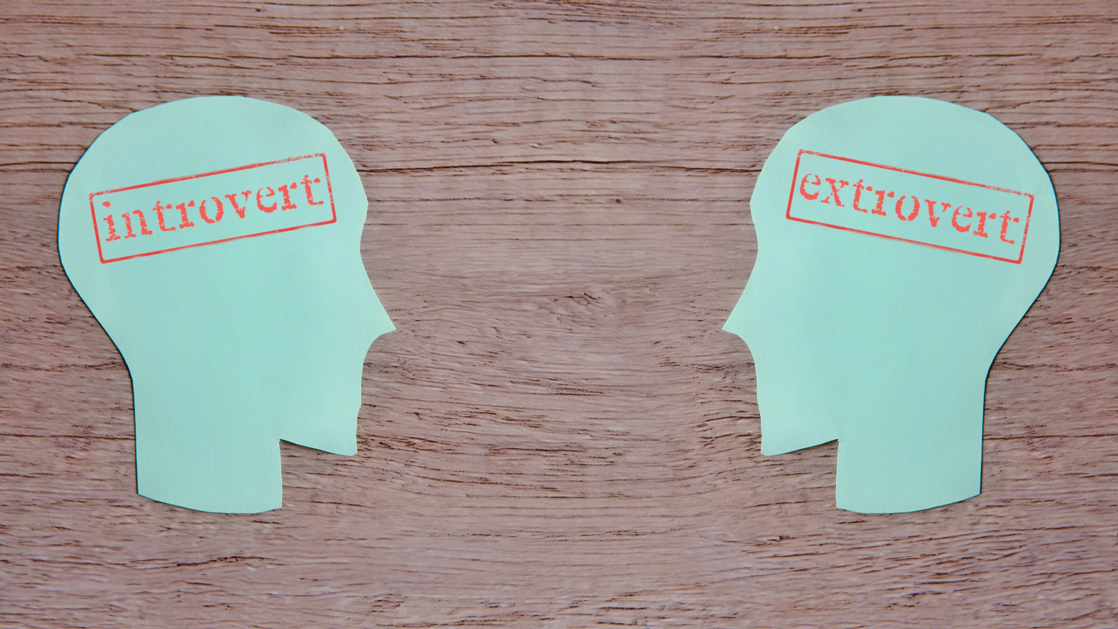 You know about introverts and extroverts (mohd izzuan/Getty)