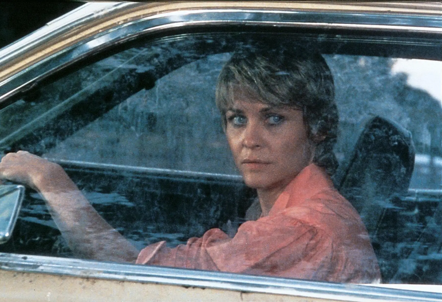 Dee Wallace stars in the original Cujo movie (Warner Bros)