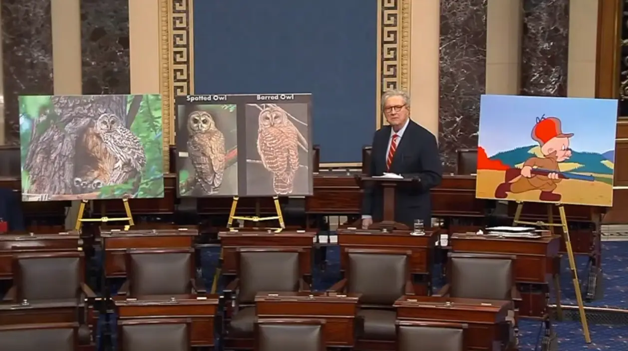 Senator Kennedy delivered an impassioned speech (YouTube/Senator John Kennedy)