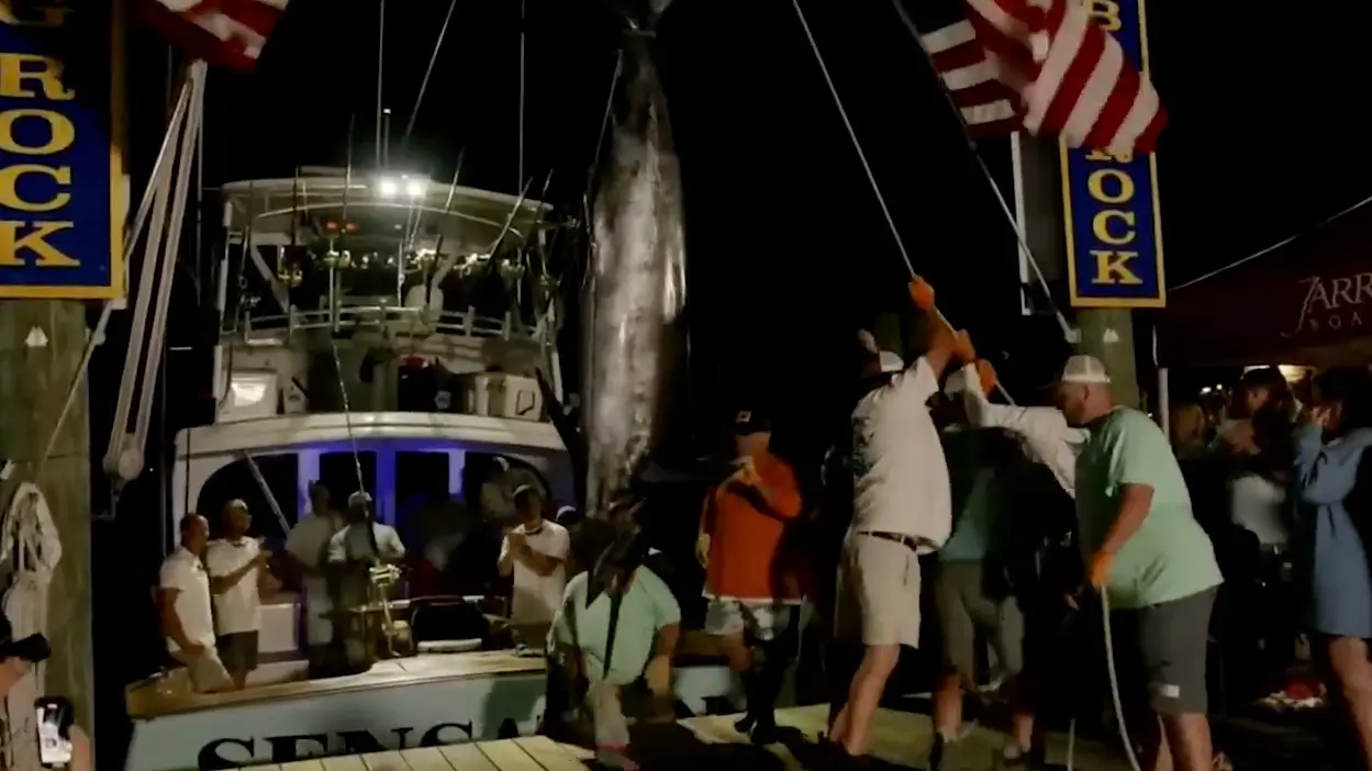 Officials of the Big Rock Blue Marlin Tournament in North Carolina disqualified a crew for what some might call a pretty harsh rule.