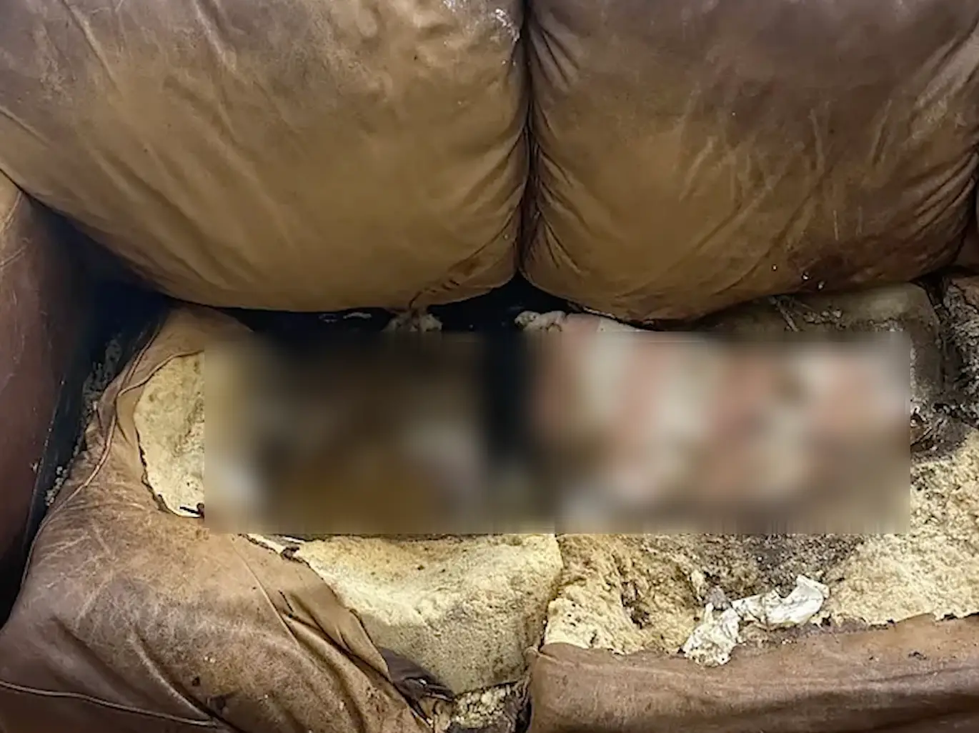 The sofa Lacey Fletcher was found on (Coroner's Office)