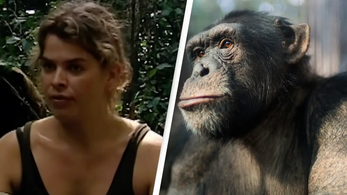 Our World via YouTube/Xia yuan/Getty