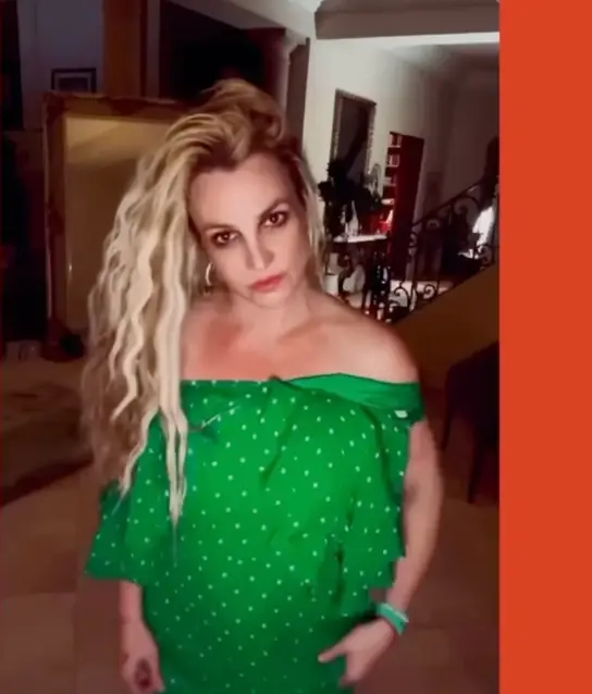 Spears condemned her former partner for his claims in a new social media post (Britney Spears)