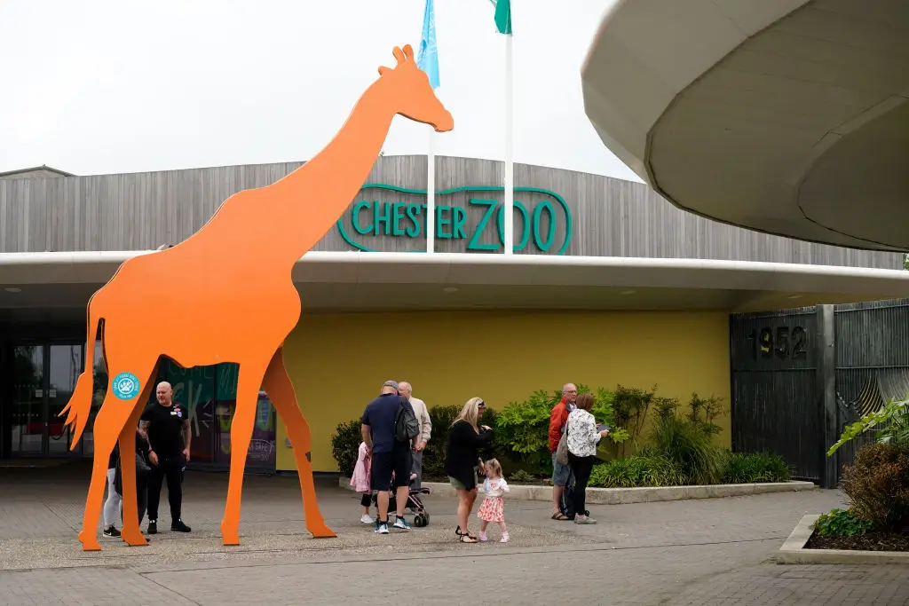 Chester Zoo have since changed the wording on their website (Photo by Christopher Furlong/Getty Images)