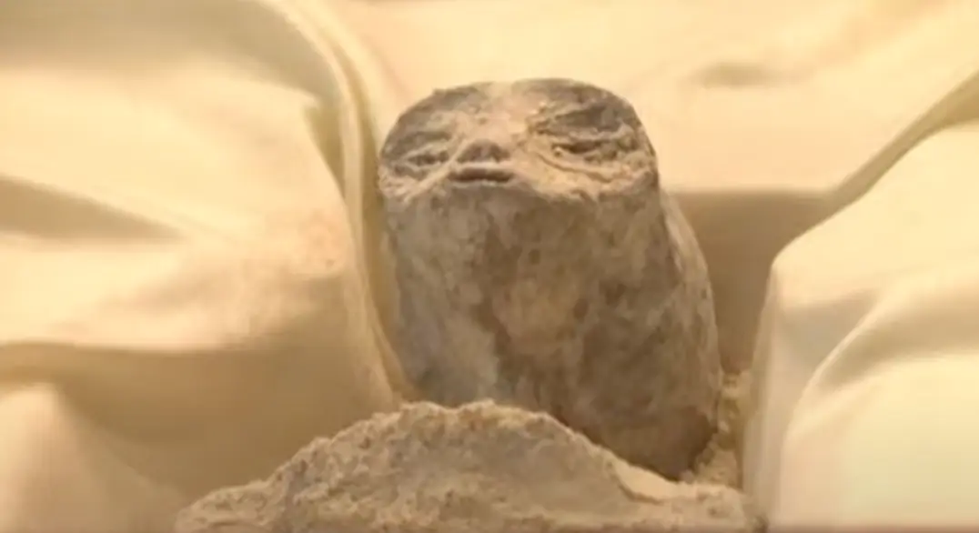 The 'non-human corpses' were unveiled at an official event in Mexico.