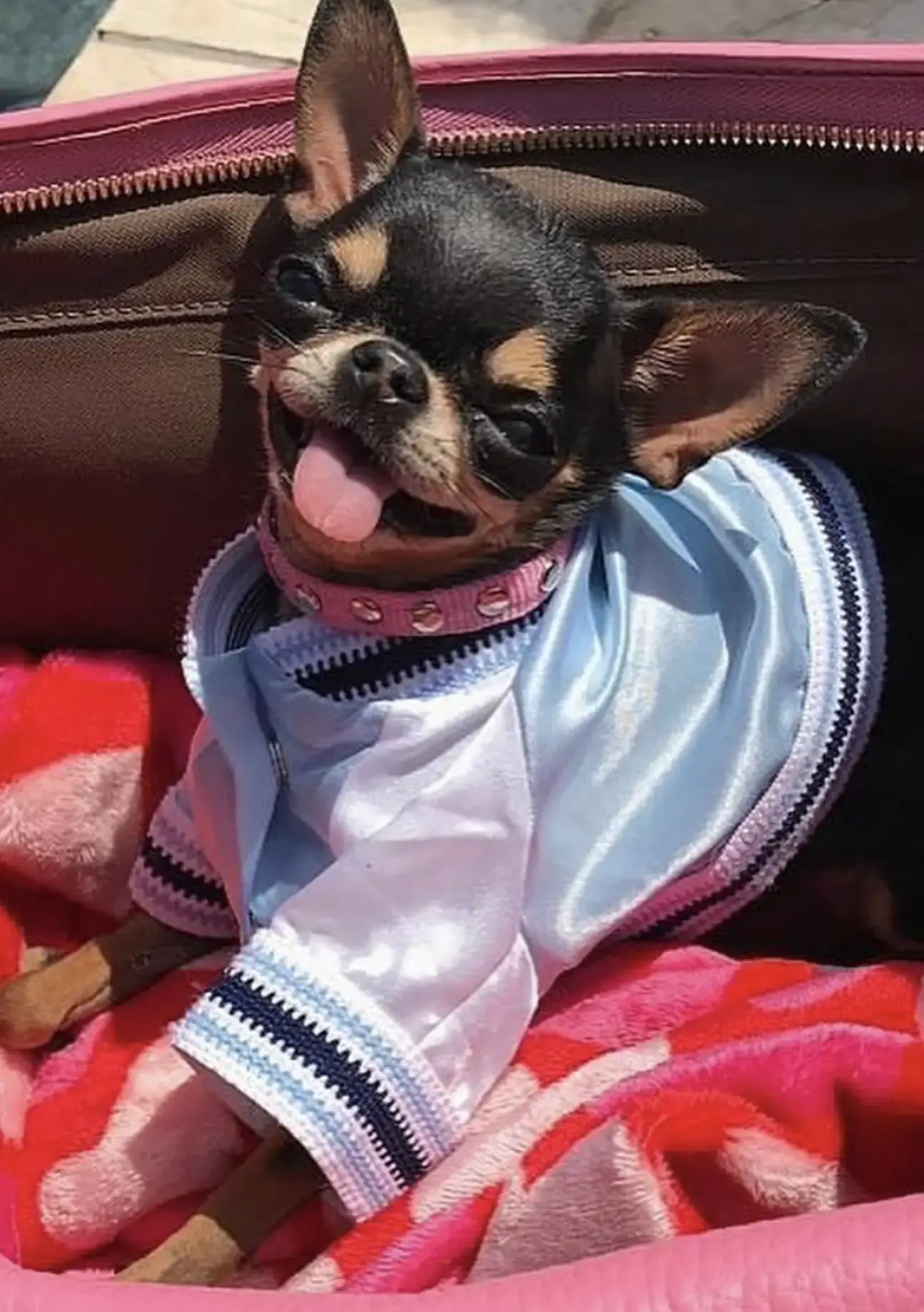 Paris just wants her baby back.