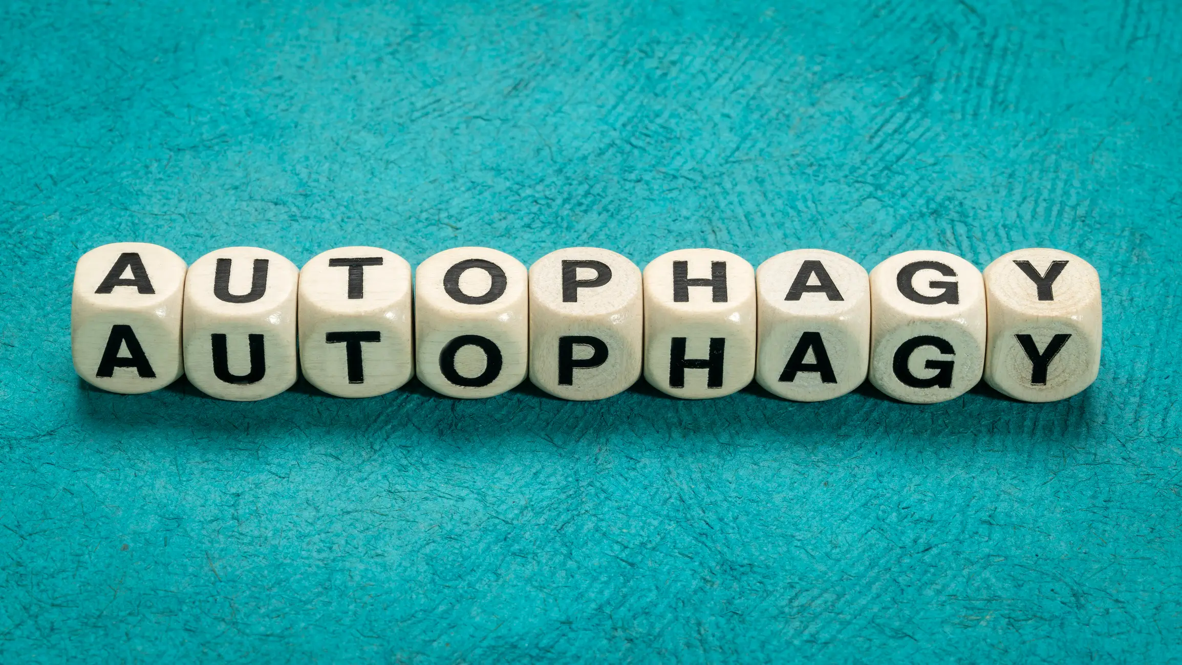 He explained the benefit in a three-day fast comes down to autophagy (Getty)