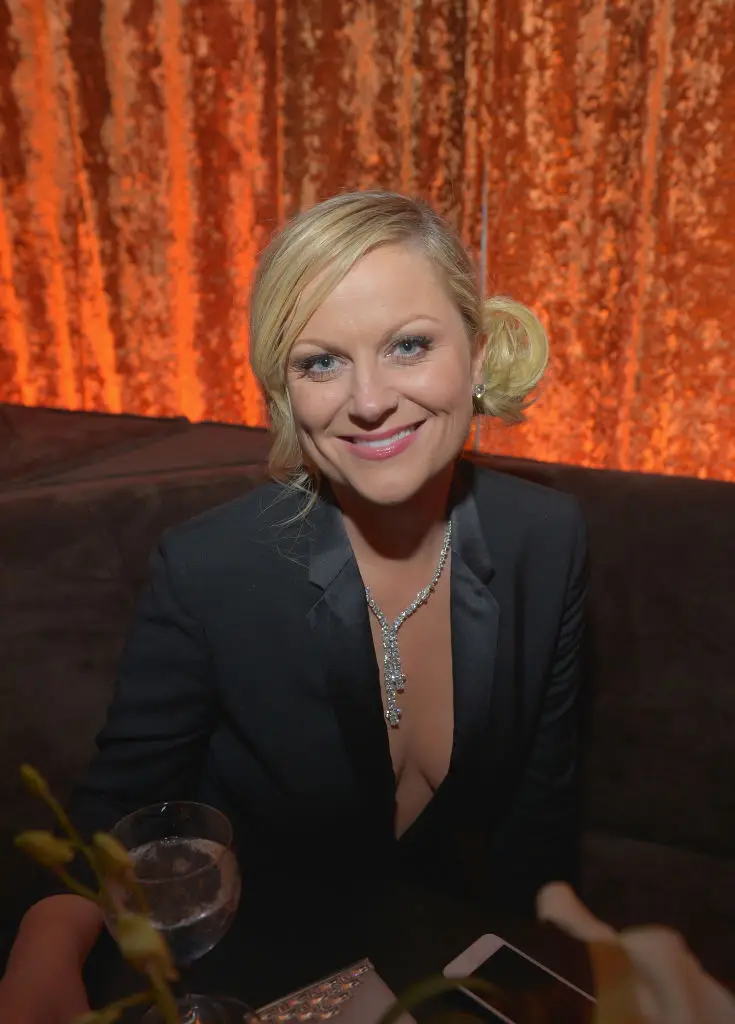Amy Poehler made the joke back in 2013 (Charley Gallay/Getty Images for Chopard)