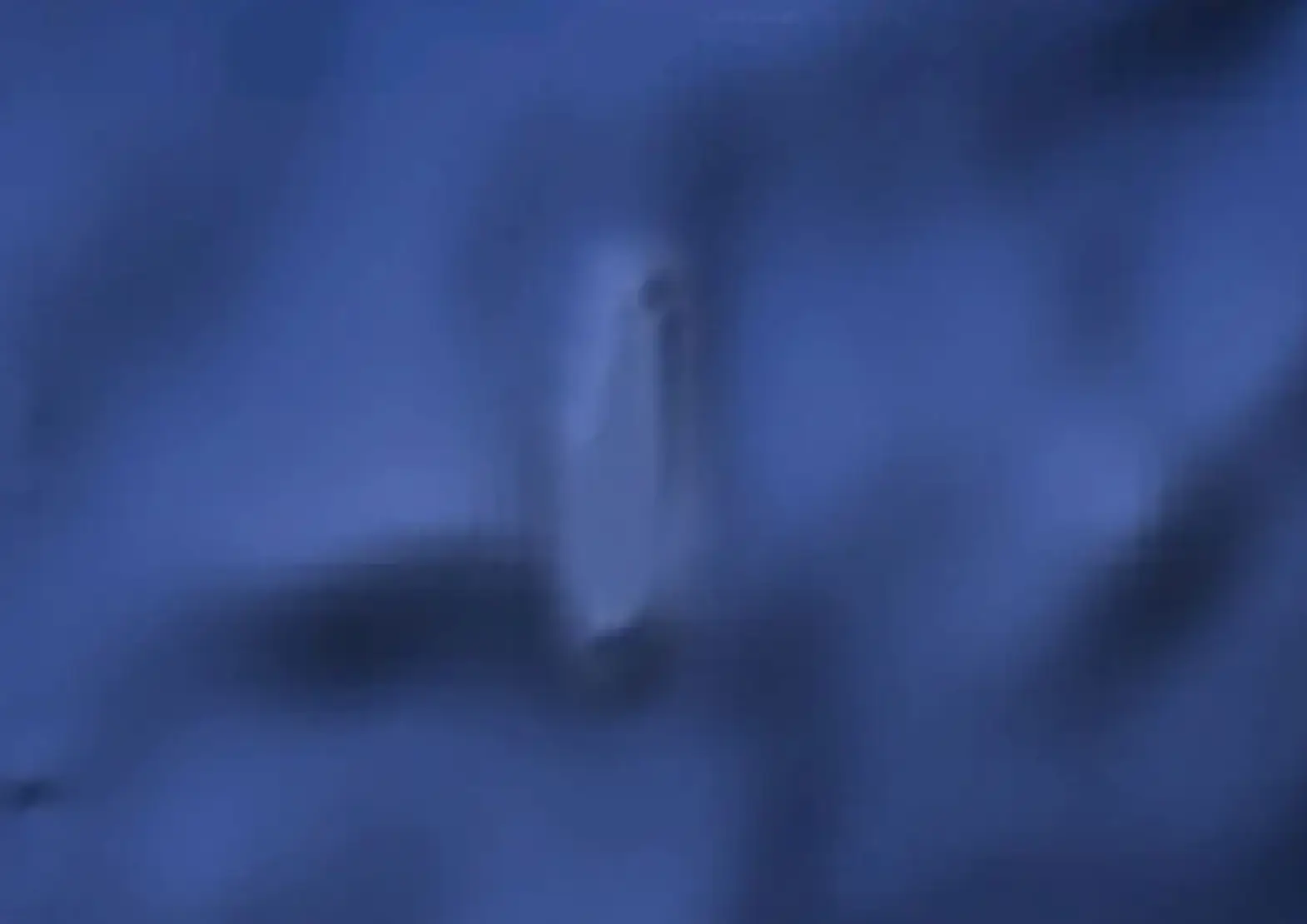 The island appeared on Google Maps.