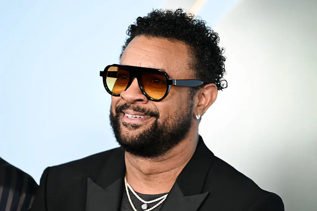 Shaggy revealed all (Photo by Kristina Bumphrey/WWD via Getty Images)