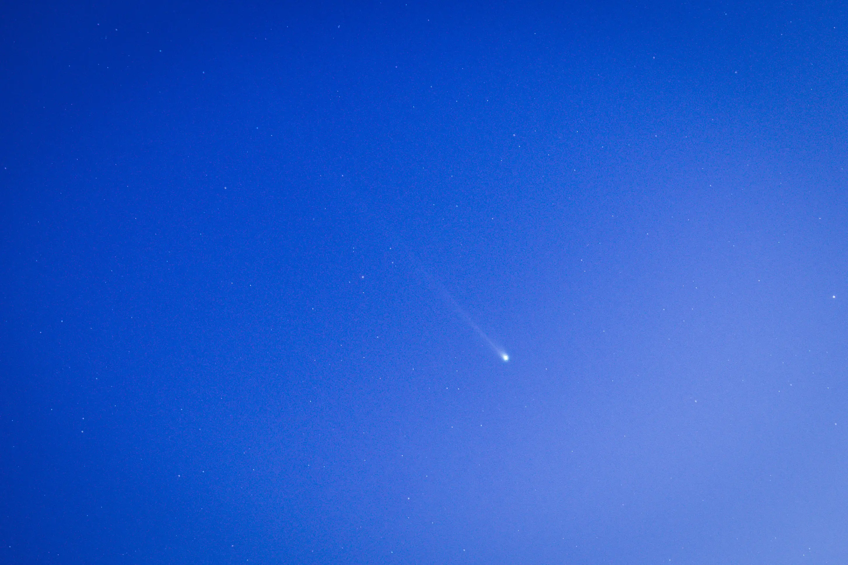 Comet Nishimura is known to have a long tail.