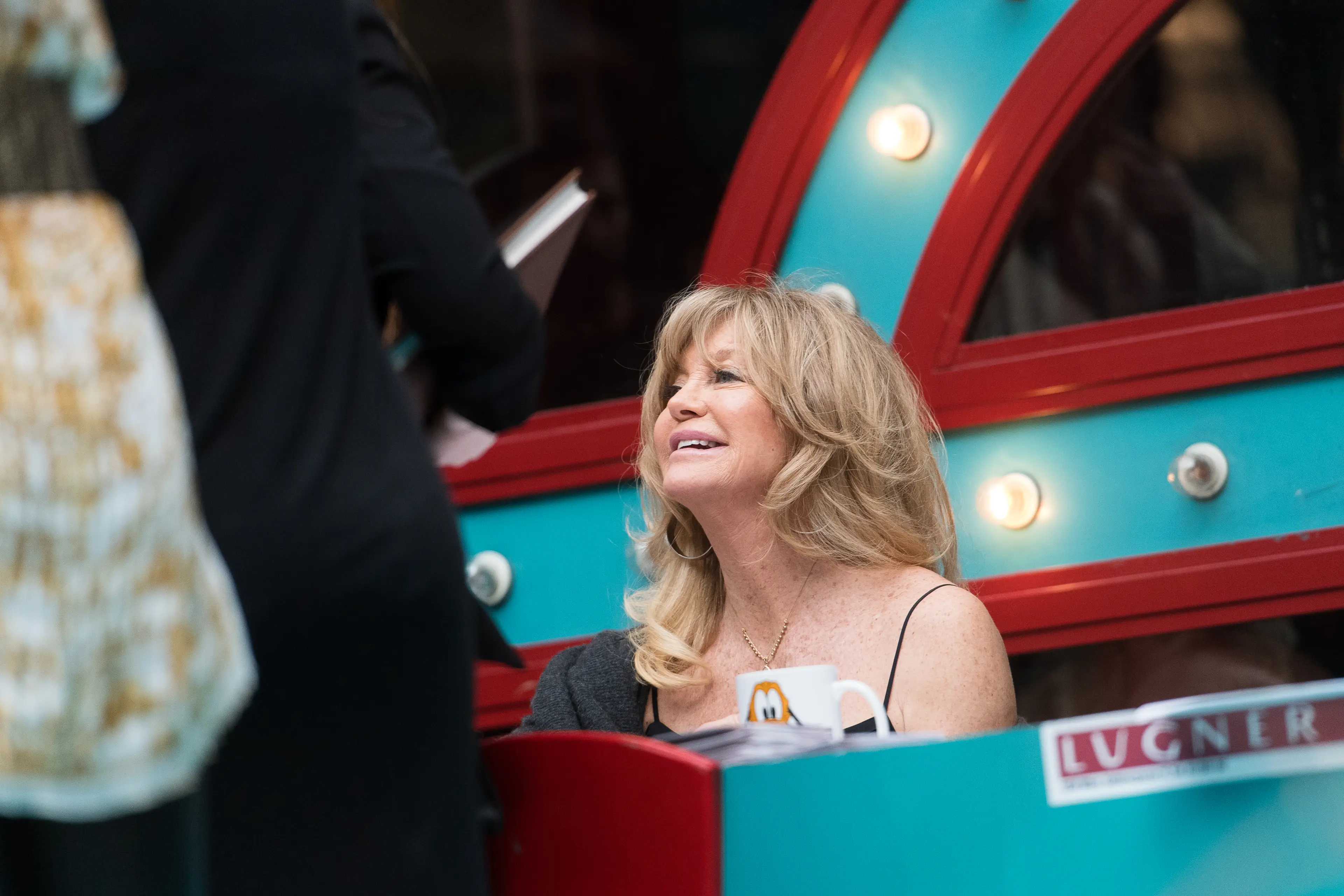 Goldie Hawn is one of the many celebrities that were invited to Lugner City as the billionaire's special guest. (Michael Gruber/Getty Images)