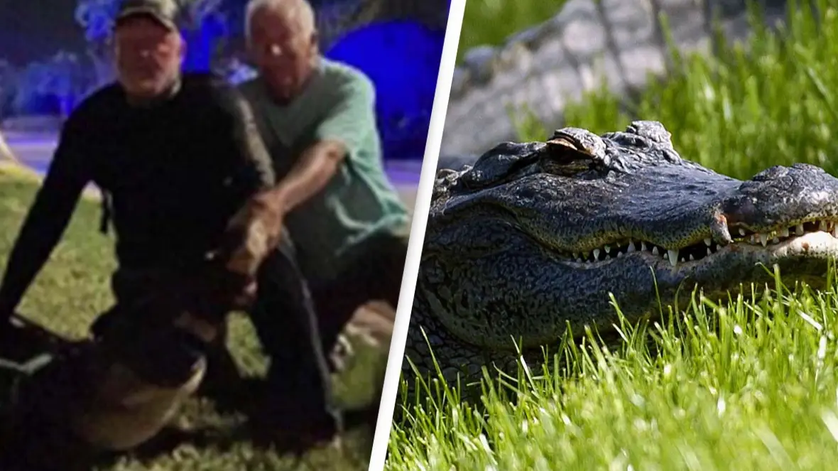 Wink News / Al Messerschmidt/WireImage