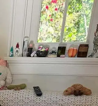 Fans were intrigued by what was on Selena's windowsill (Instagram/selenagomez)