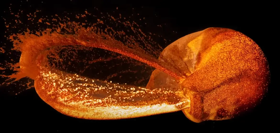 The collision is portrayed so beautifully in the simulation.