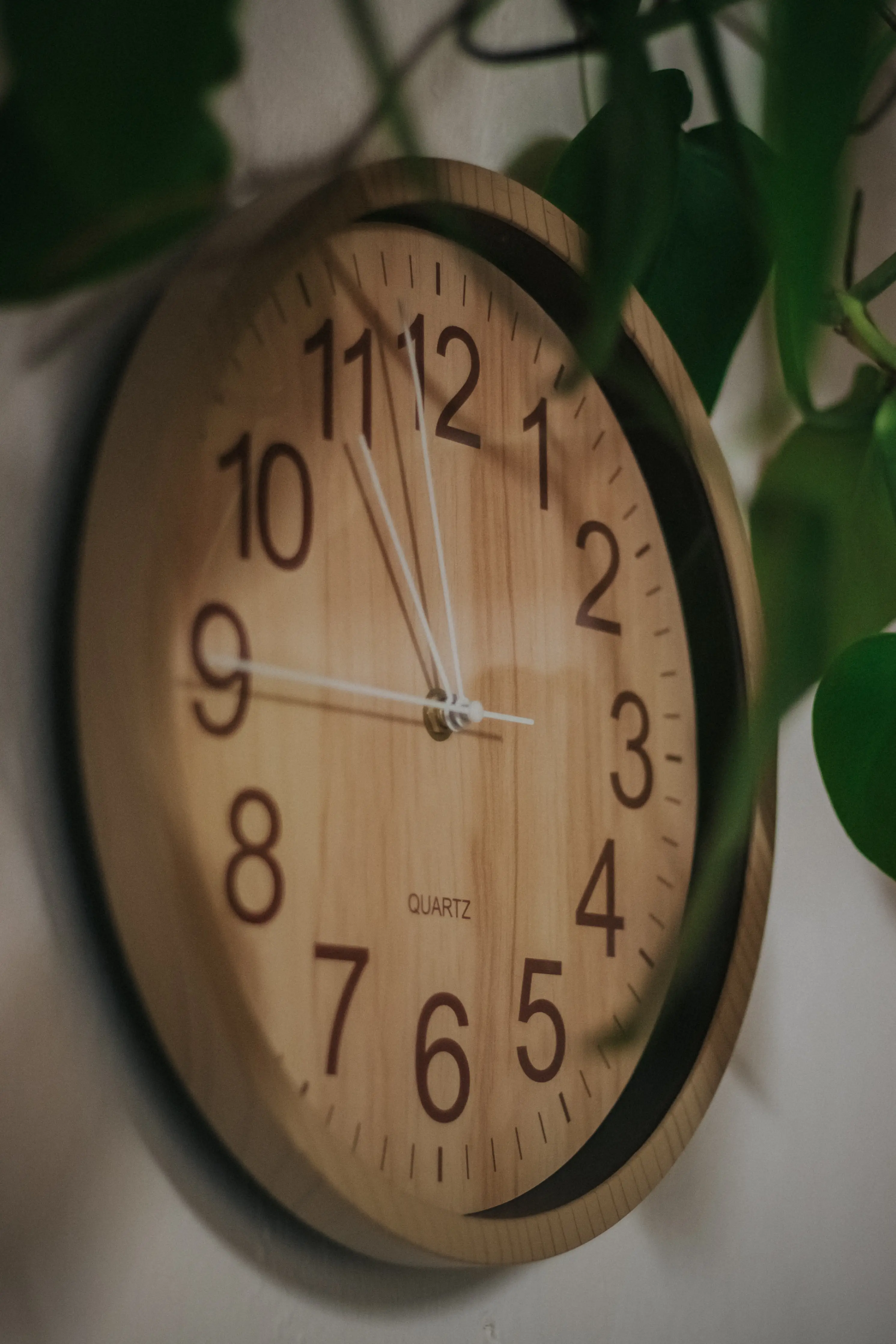 There's only one place on Earth with no tome zone.