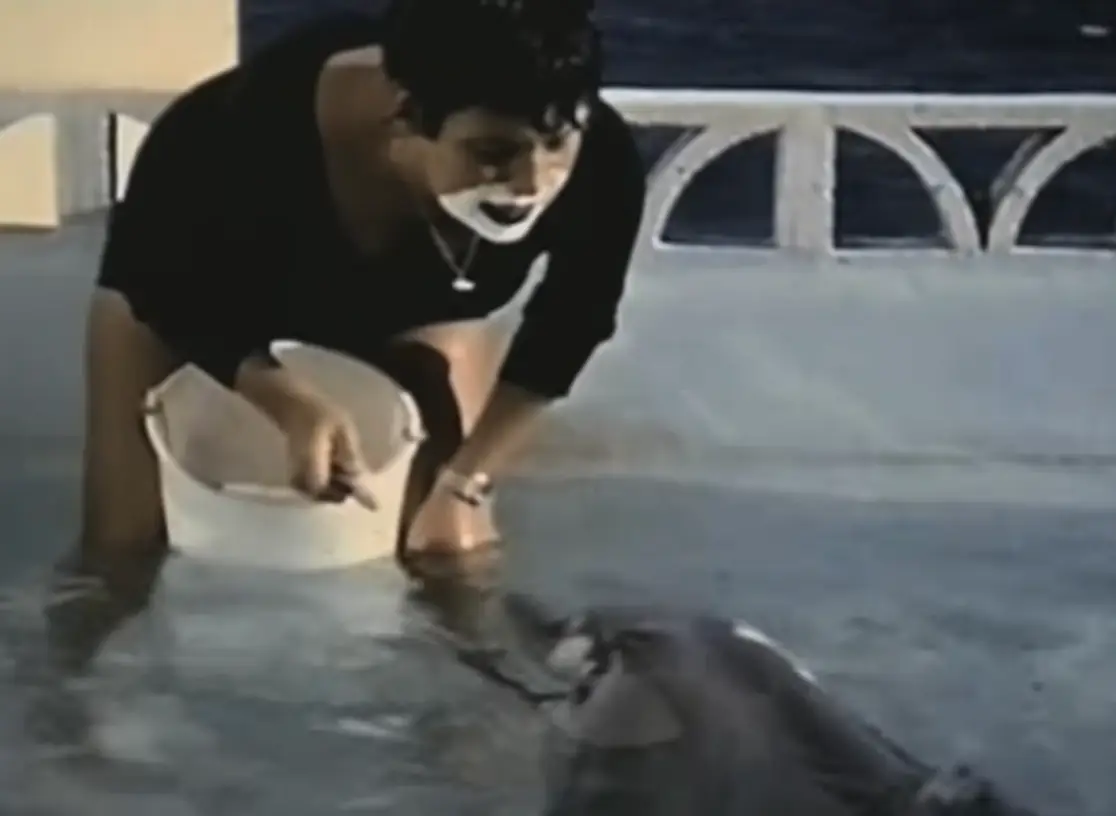 Margaret sought to teach the dolphins to speak English (BBC)