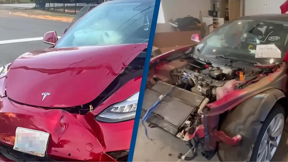 YouTube/Wham Baam Teslacam/WinstonsGarage