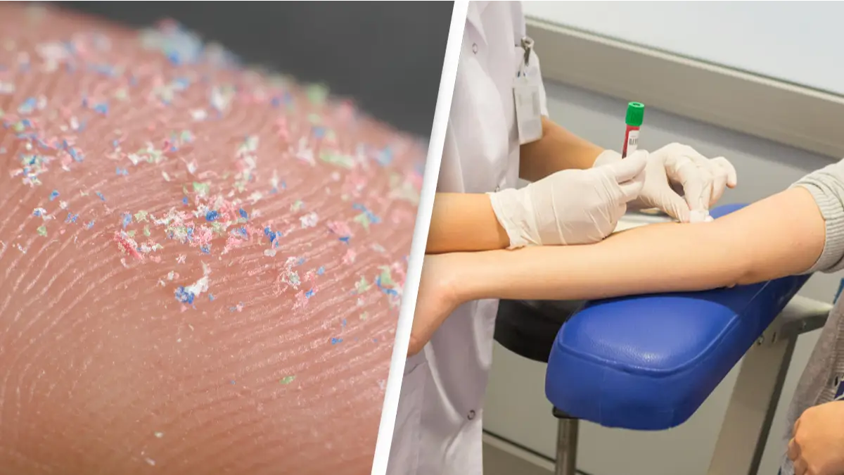 Microplastics Discovered In Human Blood For The First Time