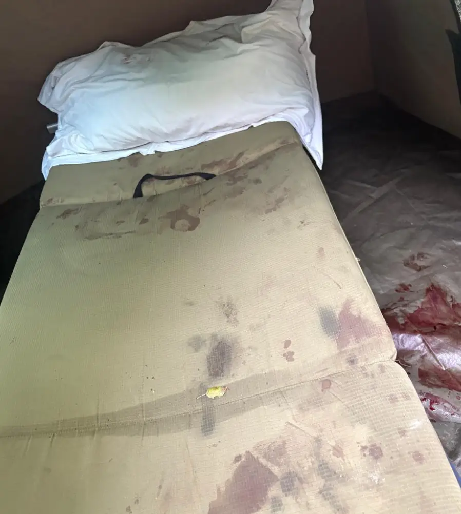 The hyenas managed to enter through a small gap in the tent (Nicolas Hohls)