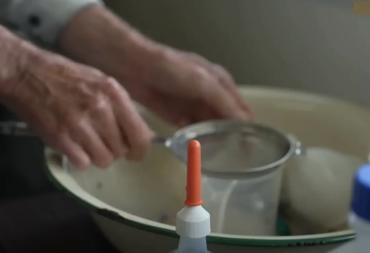 The transplant involves putting poo in a blender (YouTube/ABC News In-Depth)