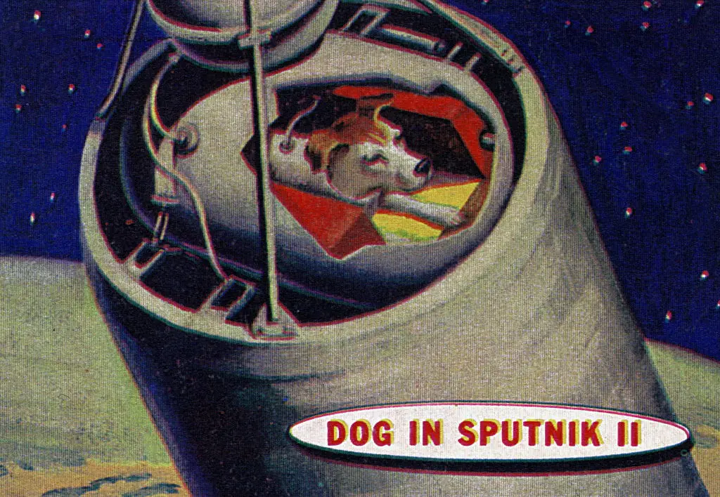 Despite Laika not surviving the journey, the mission was considered a win for the Soviet Union  (Universal History Archive/Universal Images Group via Getty Images)