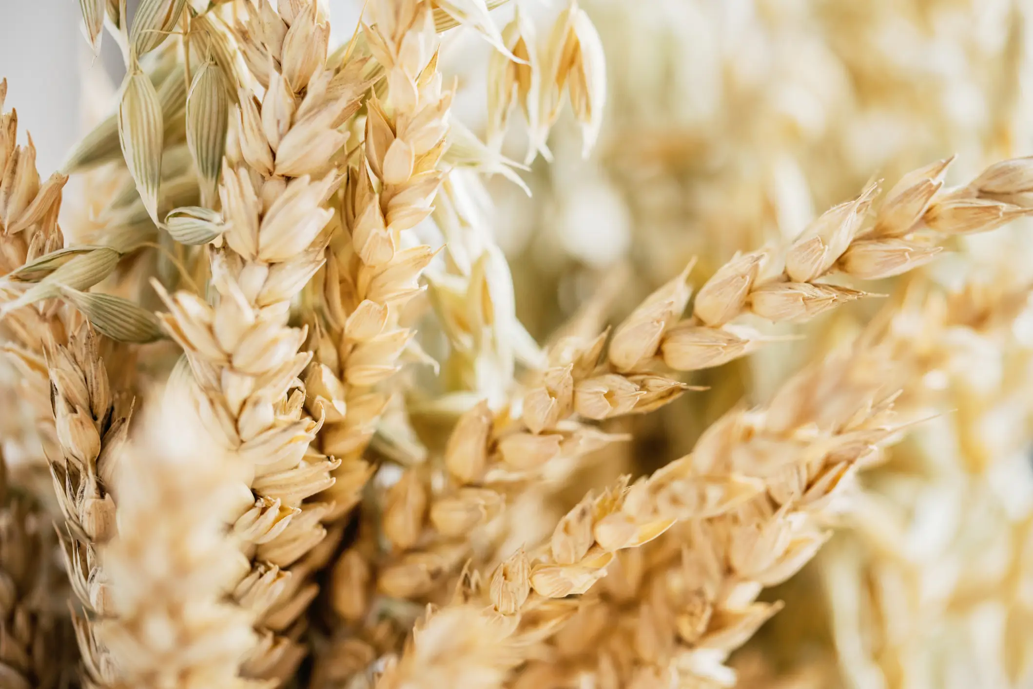 The chemical is used on oat crops.