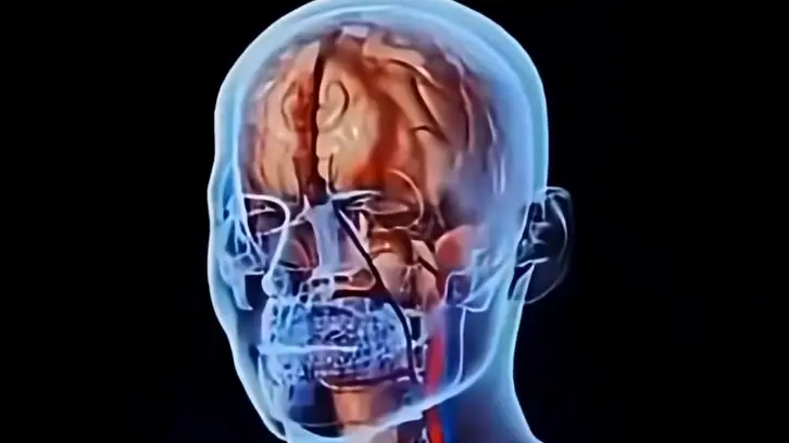 Shocking simulation shows what happens to your body when you fast for 36 hours and the extreme impact