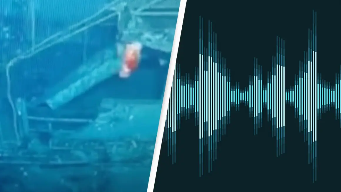 TheAtlantic via YouTube/Getty Images