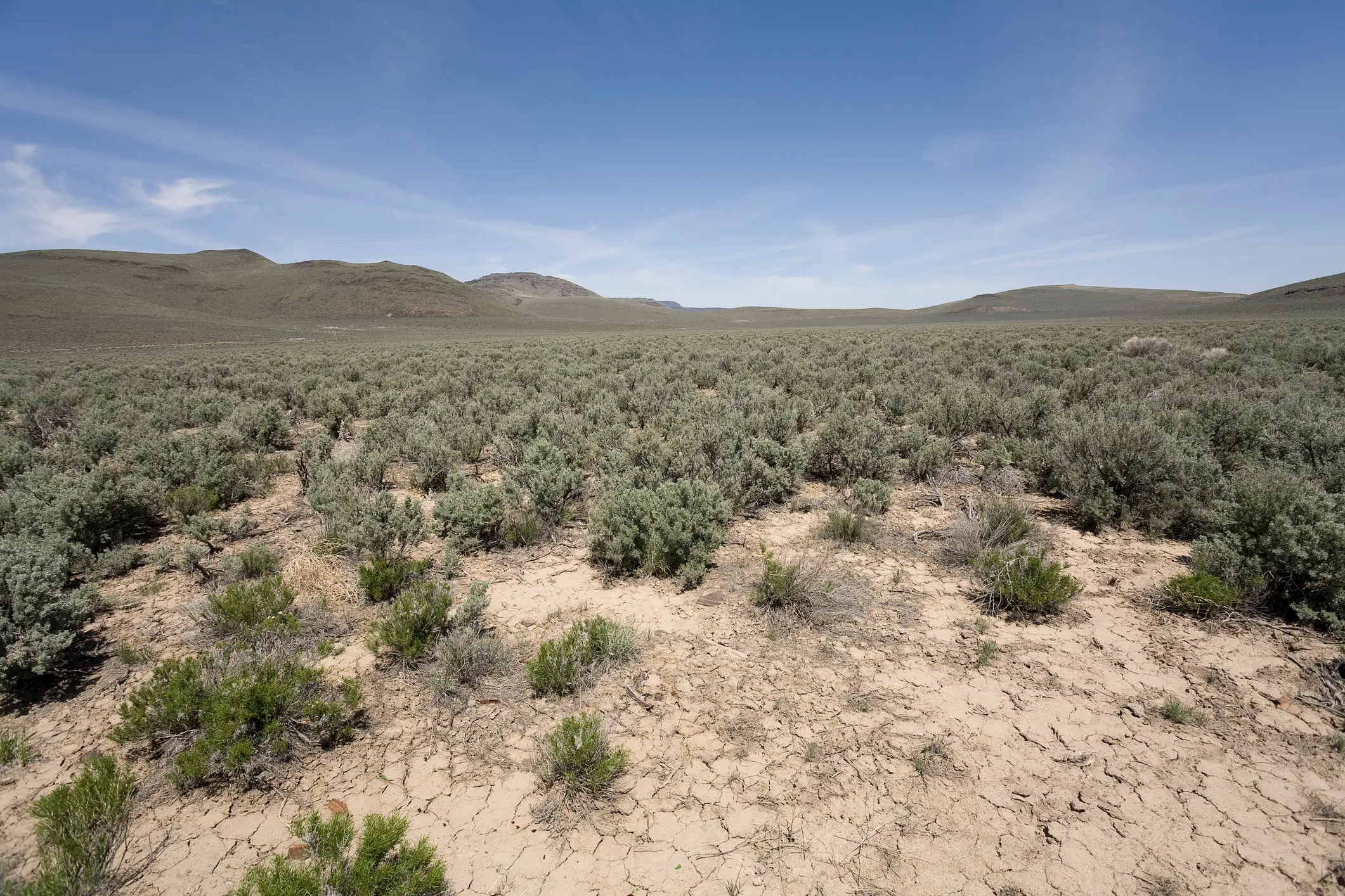 A high desert in Oregon, a similar environment to that of the McDermitt Caldera (Getty stock)