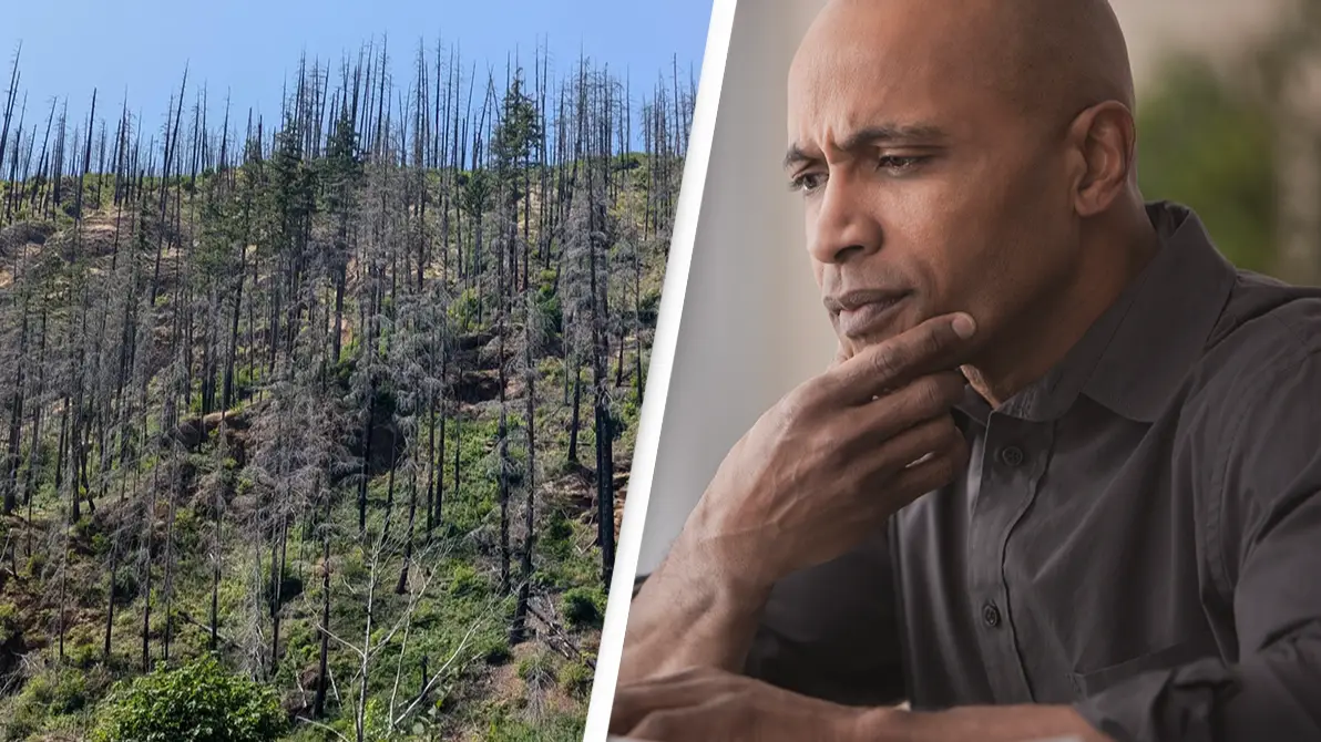 Only people with 'sniper vision' can find the car in this photo and it's much harder than you think