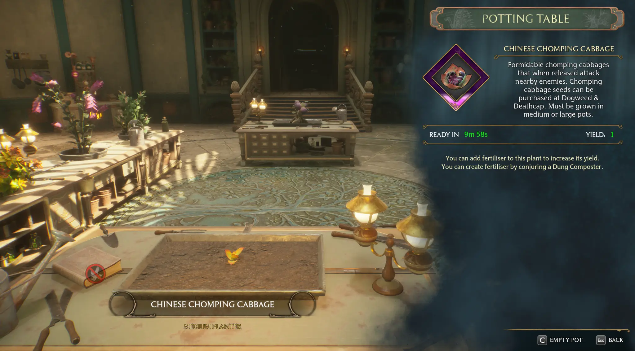 You could grow your own Chinese Chomping Cabbages.