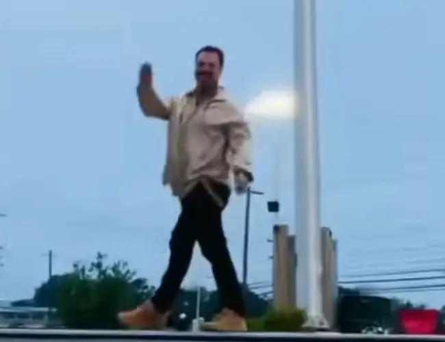 Fans are excited by how happy Margera looks.