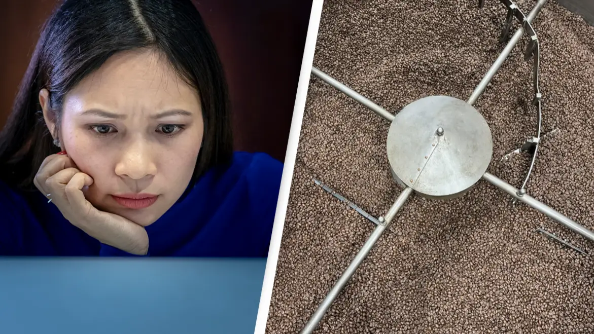 Only people with 'sniper vision' can find the stone in picture of coffee beans in under 10 seconds