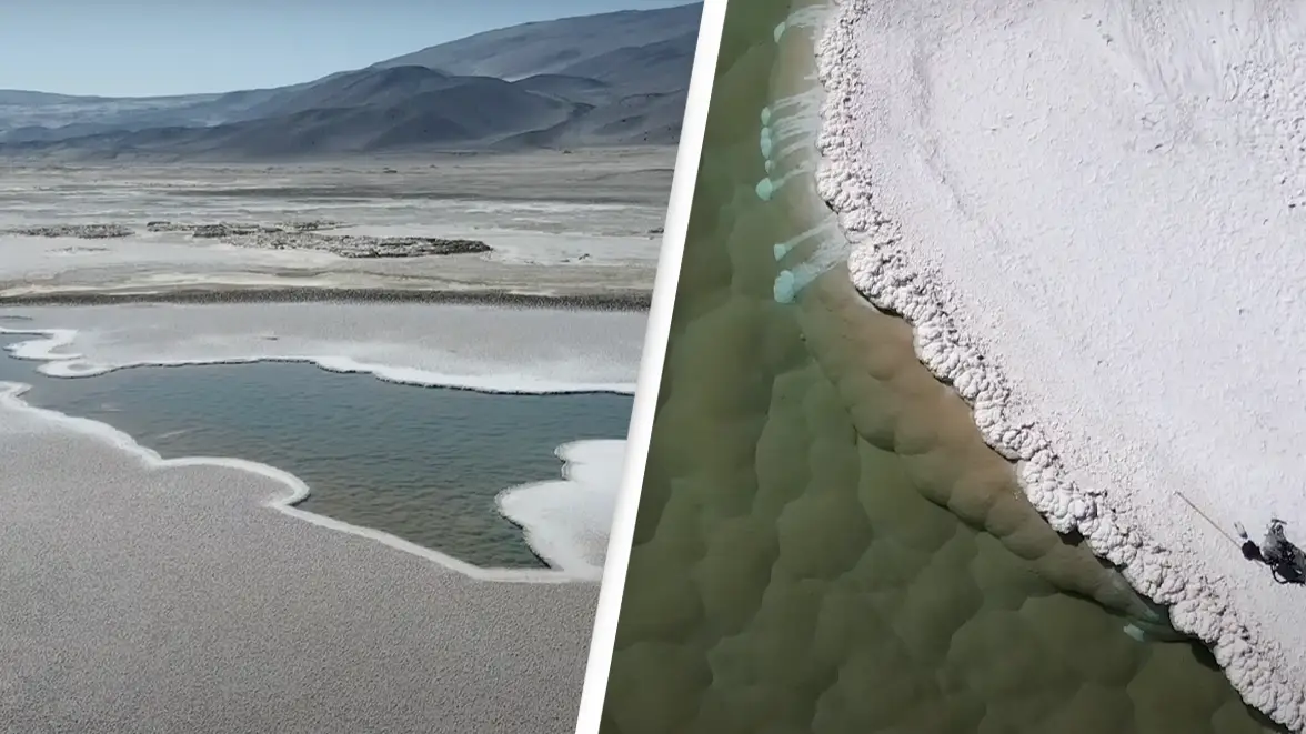 Experts discover prehistoric 'lost world' that has been hiding on Earth