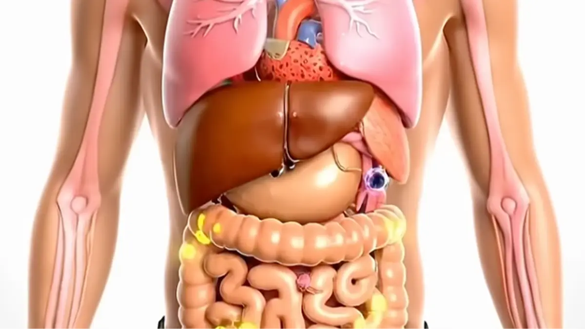 Untold_Healing/YouTube