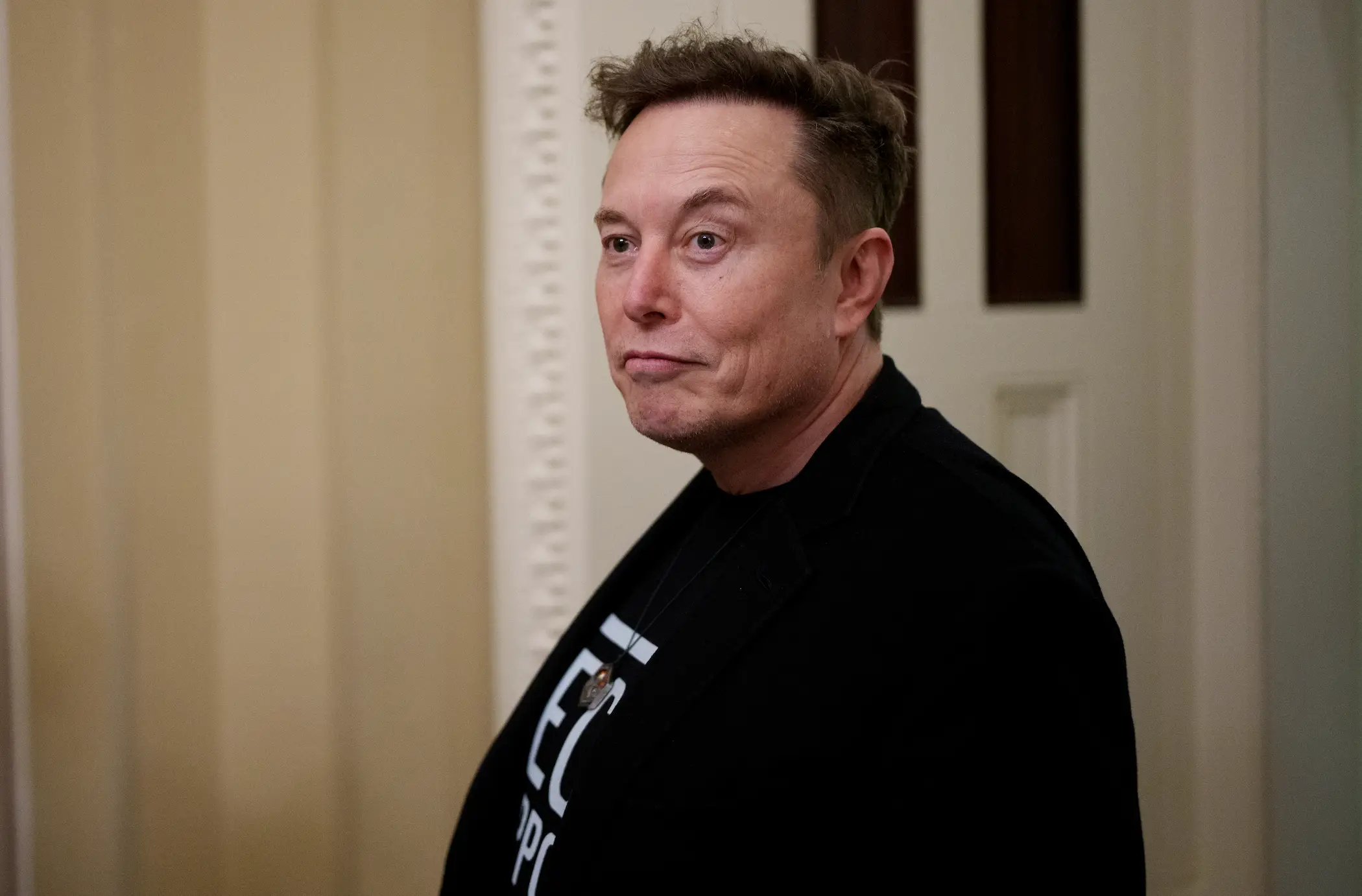 Elon Musk seemed a little down in the dumps discussing his businesses (Andrew Harnik/Getty Images)