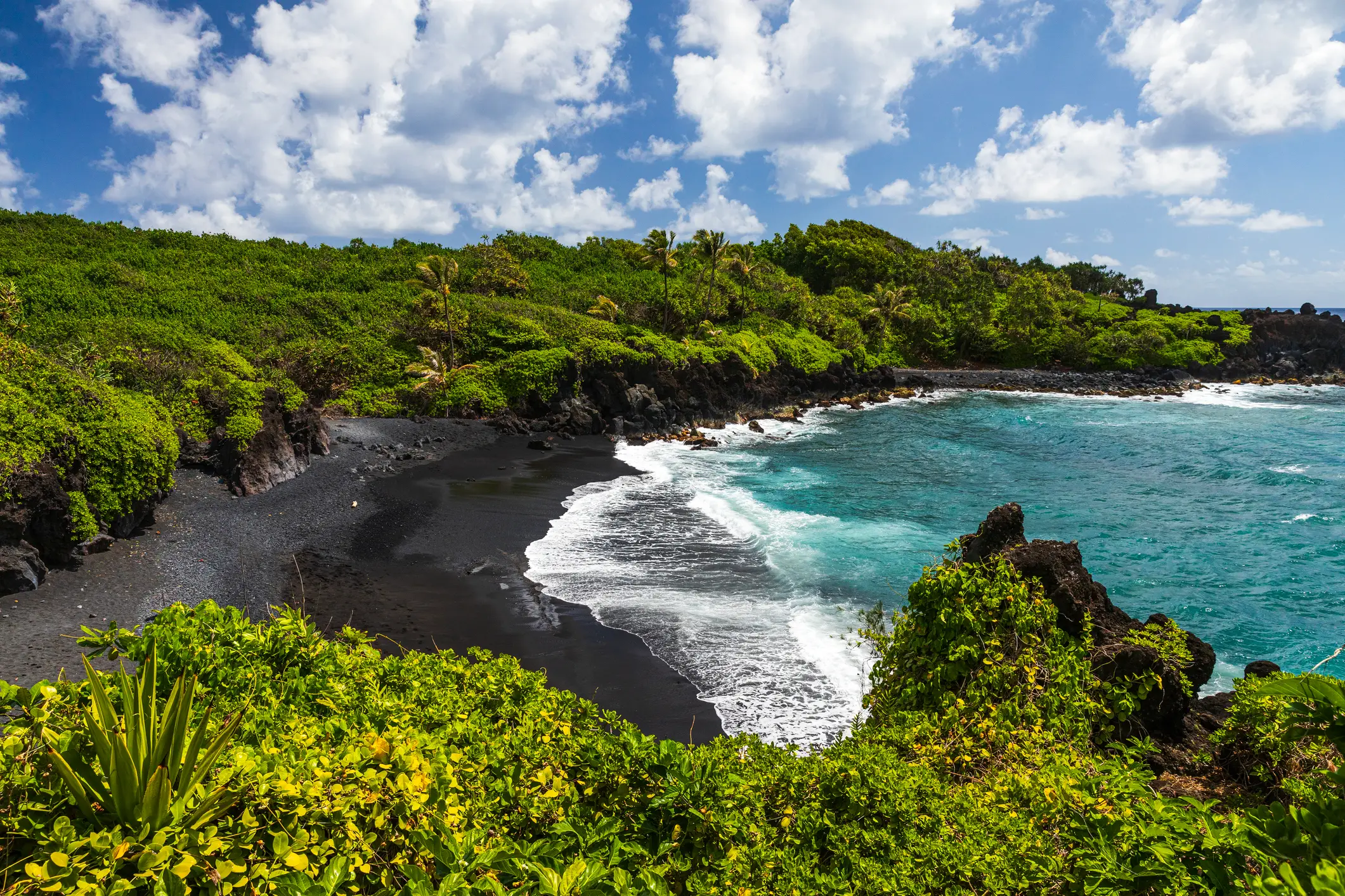 Hawaii was at the center of the study (Getty Stock Image)