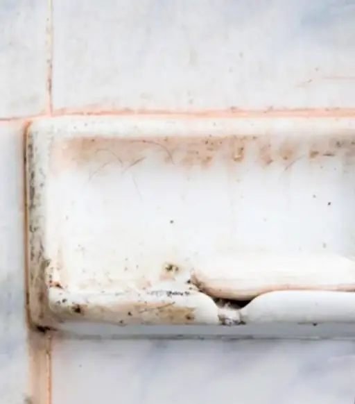 Look familiar? (TikTok/ @dr.karanr) 